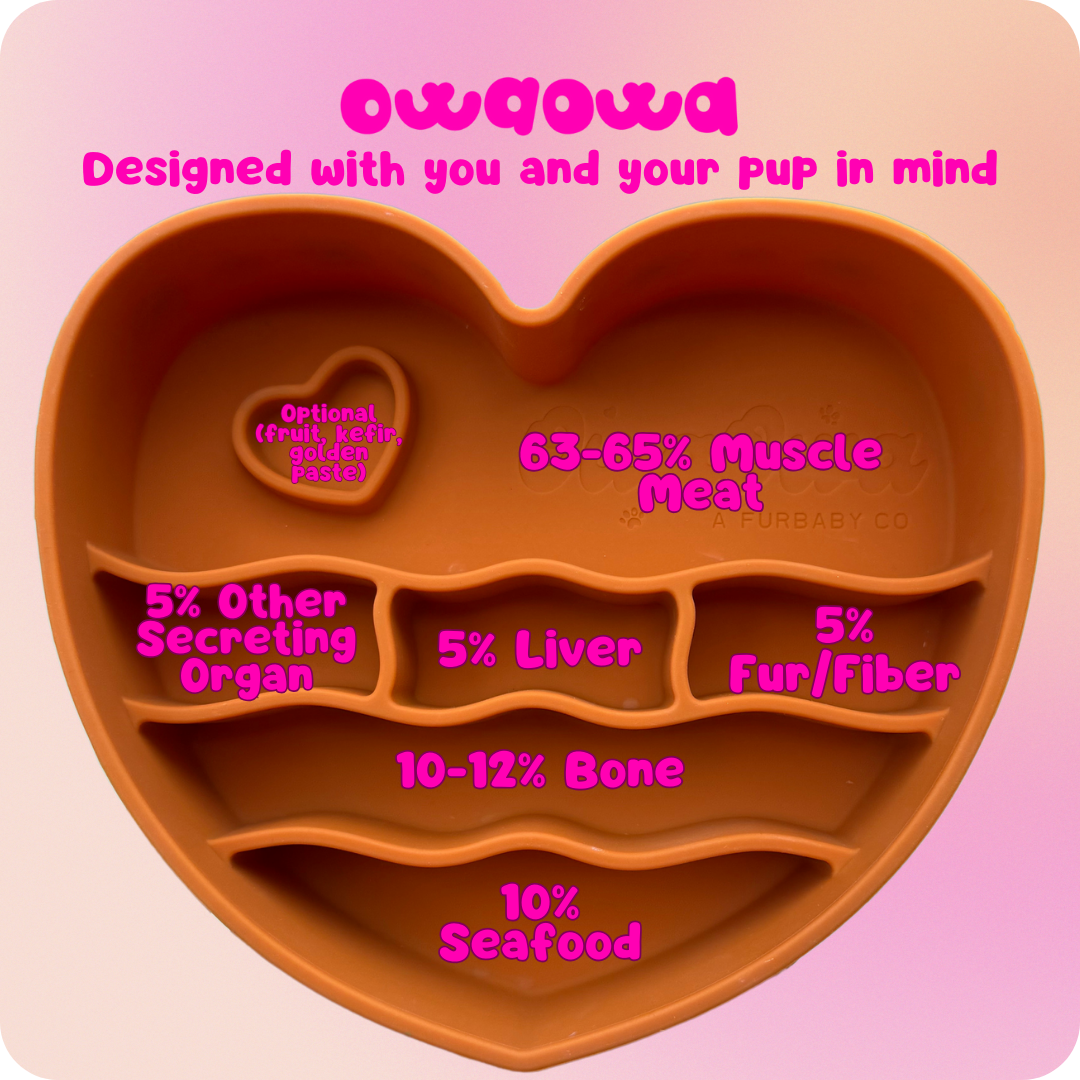Coraźon ‘Barro’ Silicone Dog Cat Slow bowl Feeder