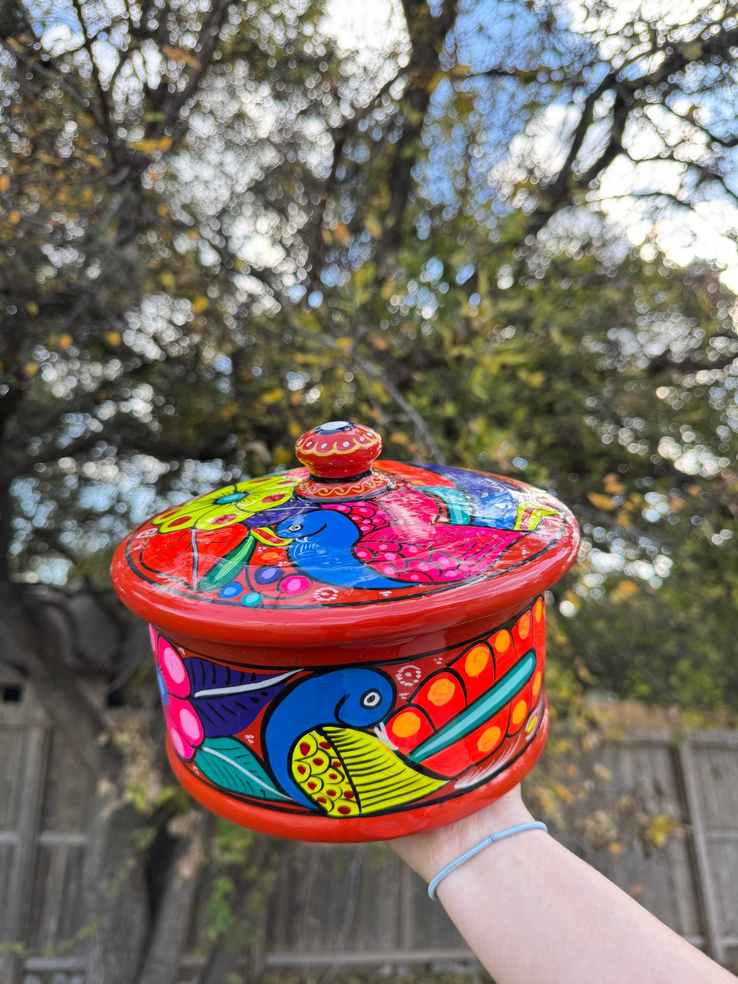 Mexican Tortilla Warmer Hand painted Tortillero