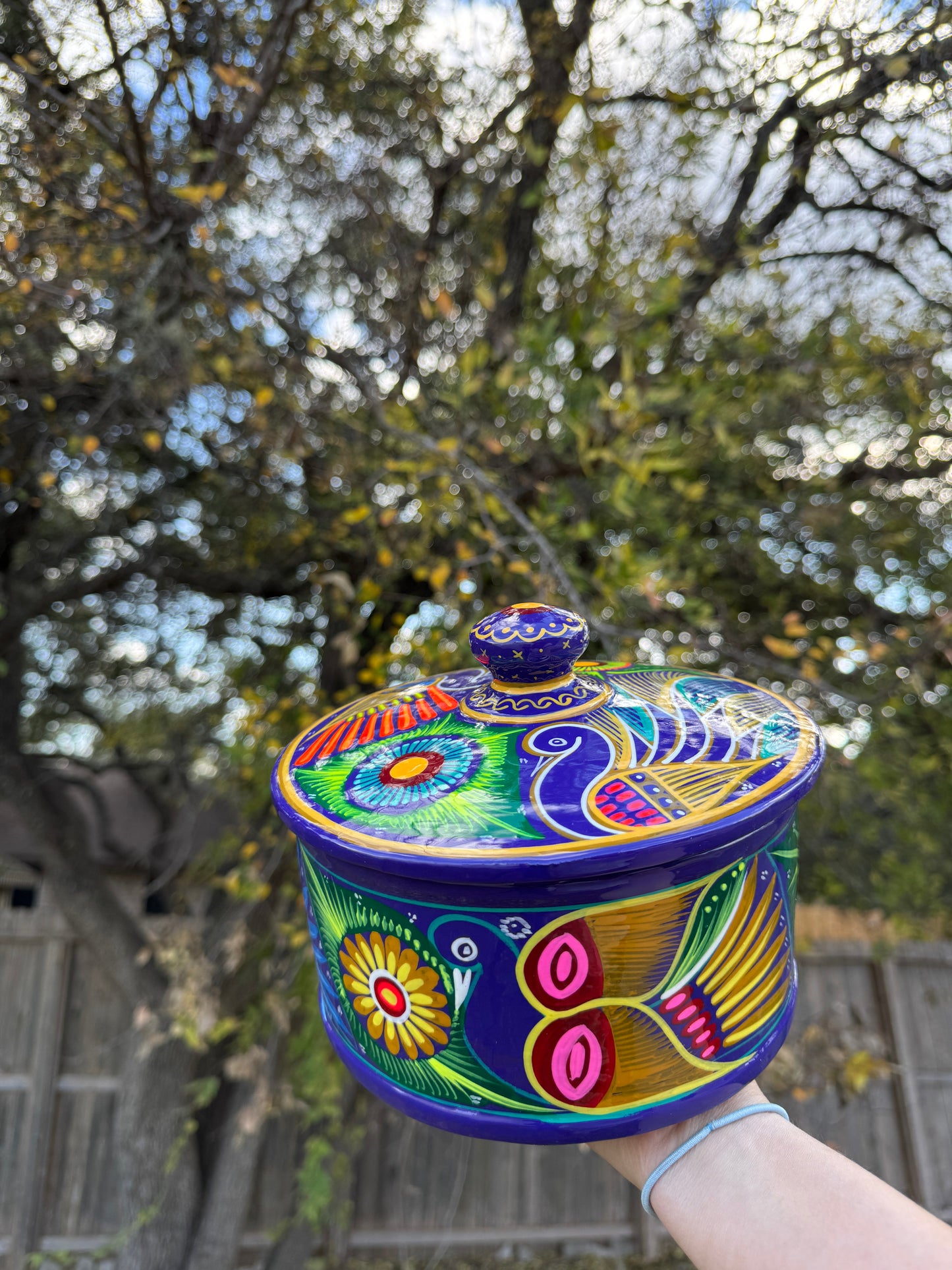 Mexican Tortilla Warmer Hand painted Tortillero