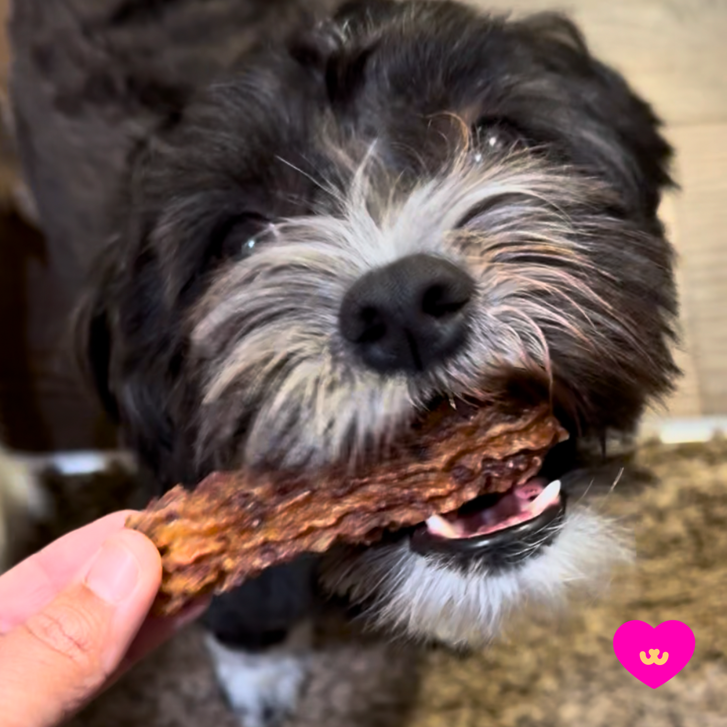 Chewrros Churro-Inspired Dental Treats for Dogs