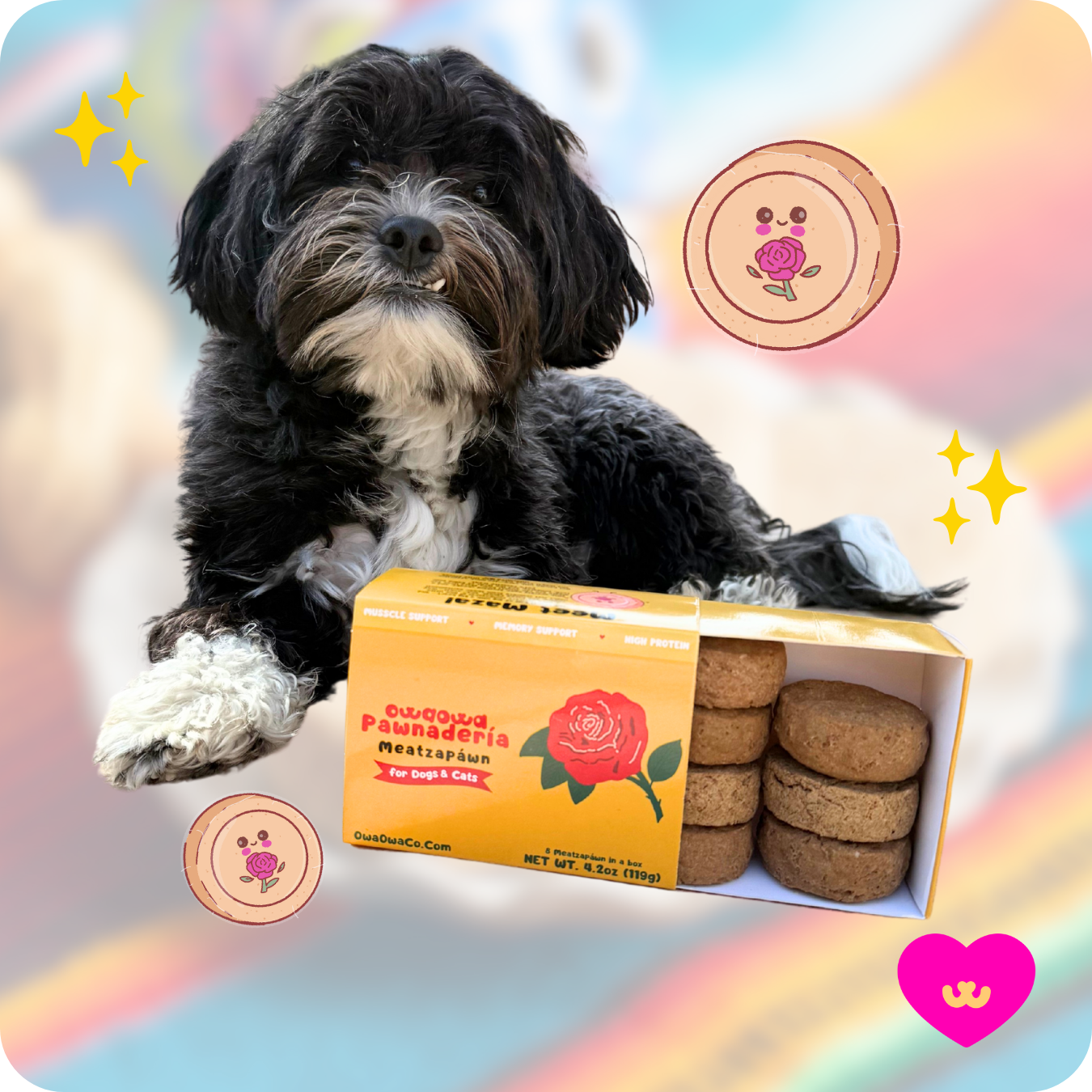 Meatzapawn Cajita Treats for Dogs And Cats