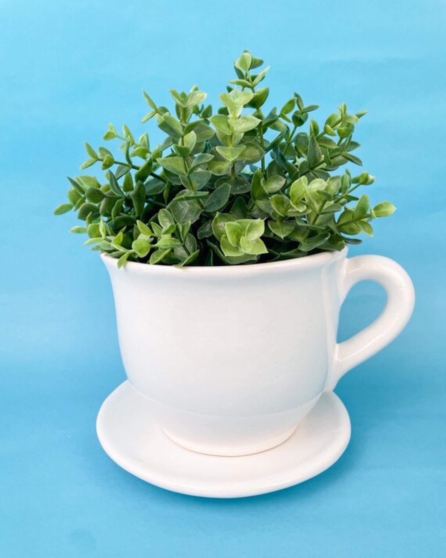 Ceramic Pot With Saucer Ceramic Plant Saucer Pot Indoor Ceramic Plant Pot
