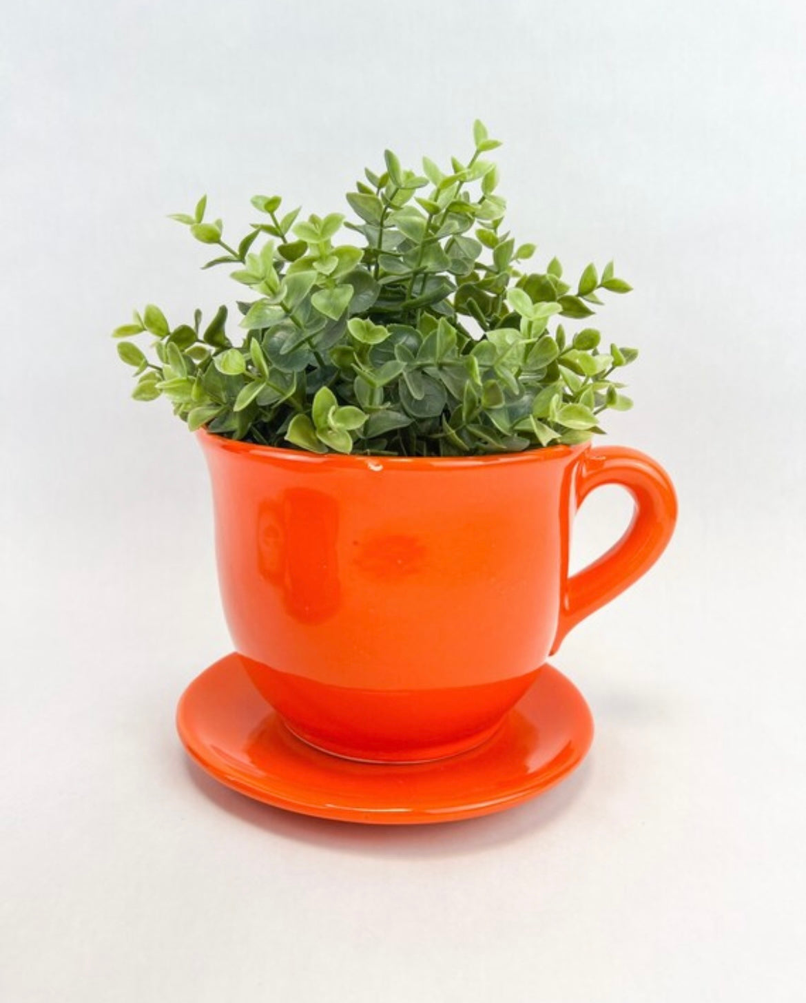 ceramic flower pots india Ceramic Pot With Saucer