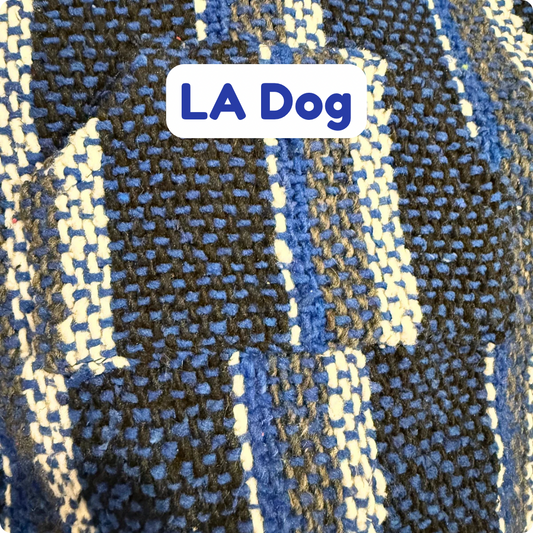 LA Dog Poncho