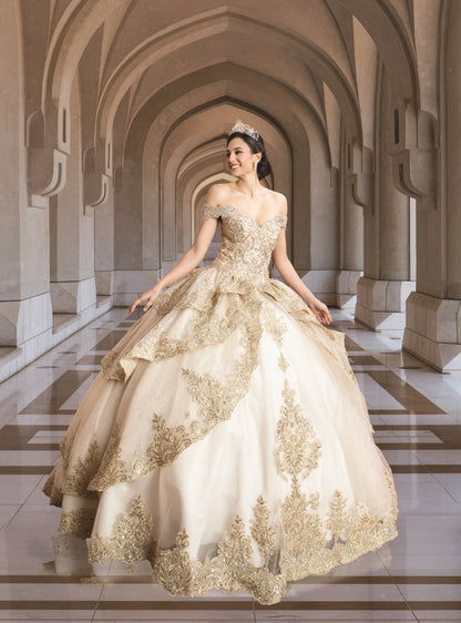 (LIVE 6) Beautiful Quinceanera Dress w/ Flower Design for Special Occasions