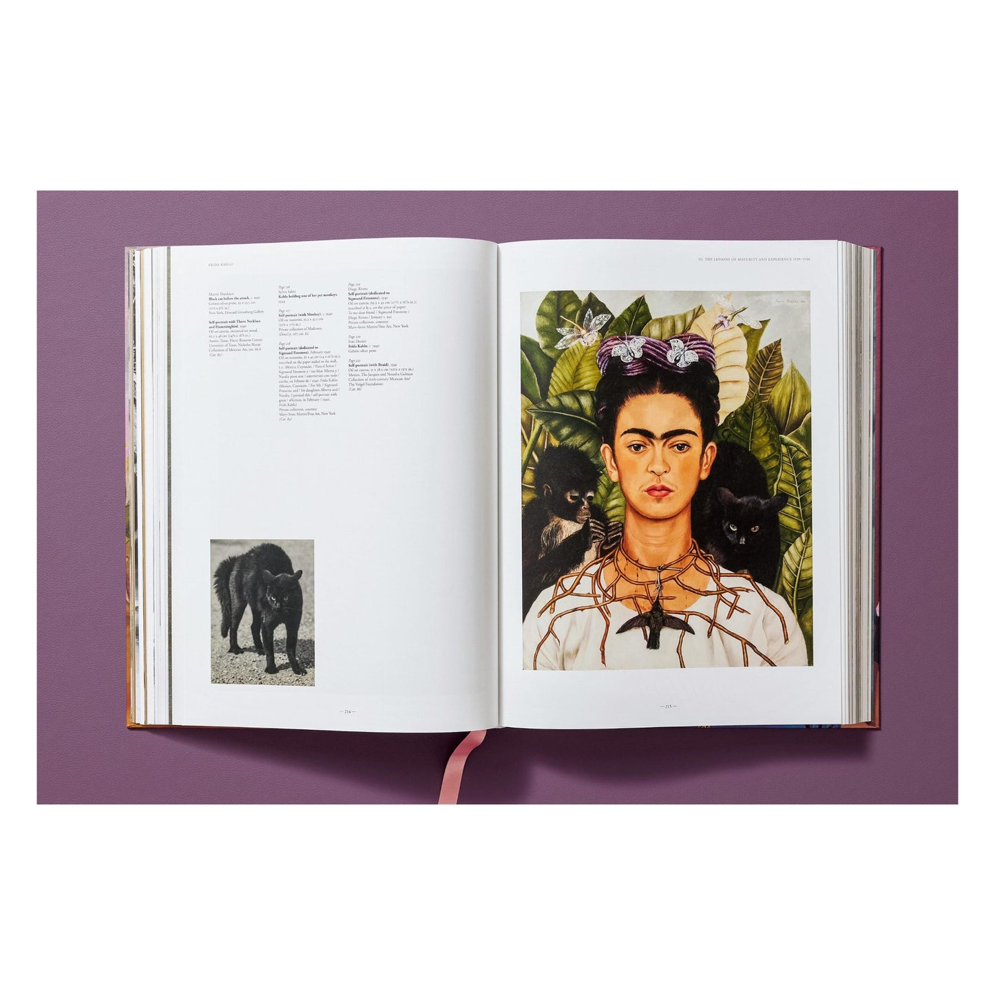 Frida Kahlo. The Complete Paintings (English)