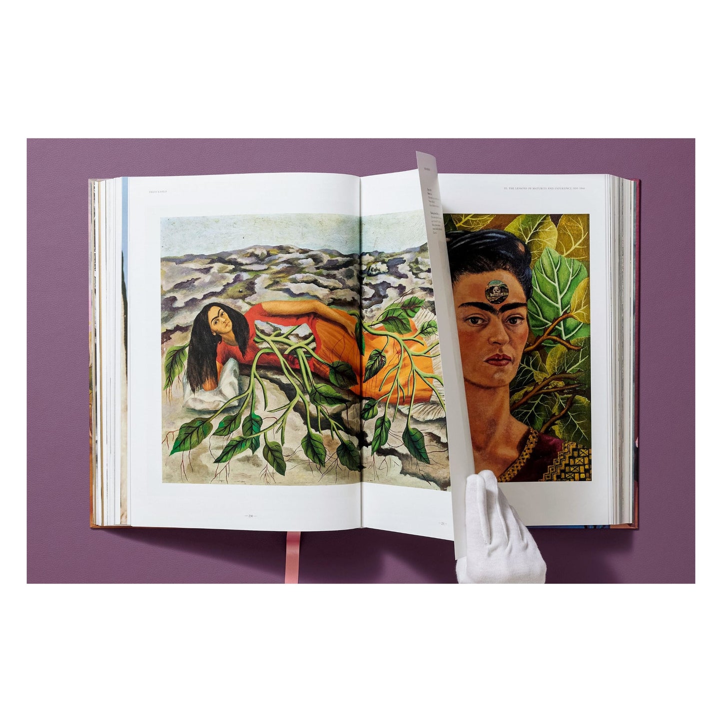 Frida Kahlo. The Complete Paintings (English)