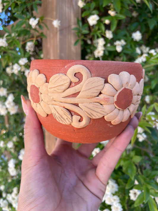 Colores del Suelo Oaxaca Clay Pottery Bowl Tazón de Barro Bordado