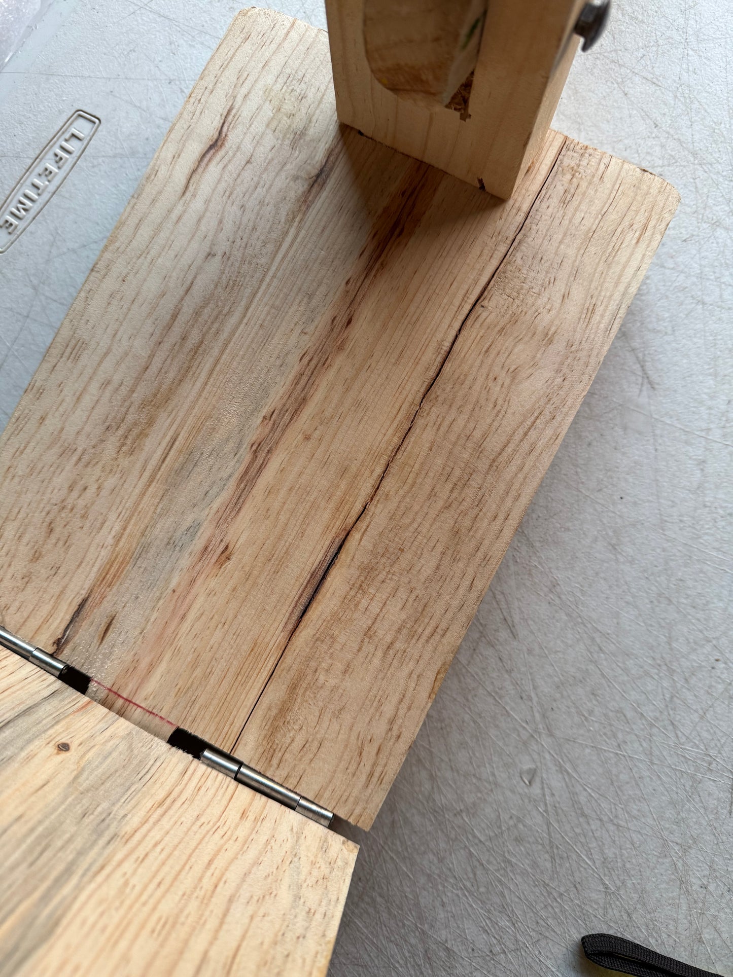 Mexican Tortilla Press Wood Tortilla Press Prensa Para Tortillas