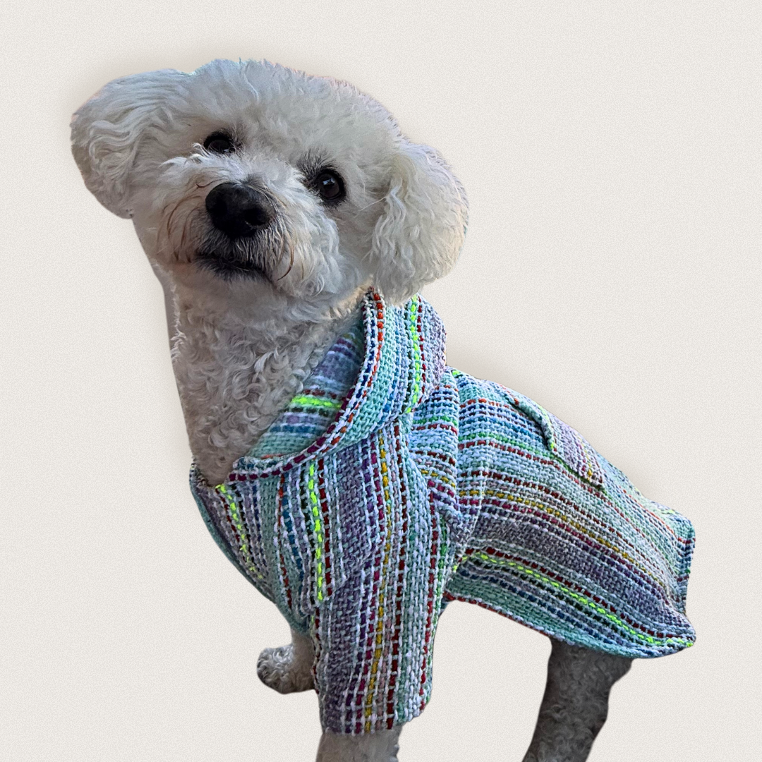 De Colores Dog & Cat Poncho