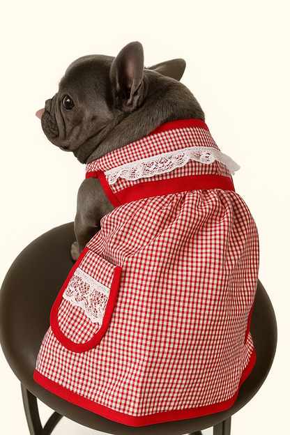 🇲🇽 Dogñitas – The Abuelita Mandil for Your Pup 🐶