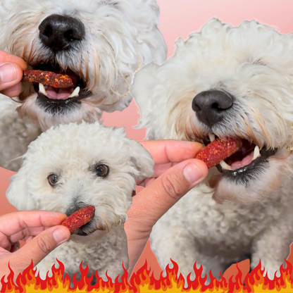 Fluffin Hot Cheewtos! Treats for Dogs And Cats