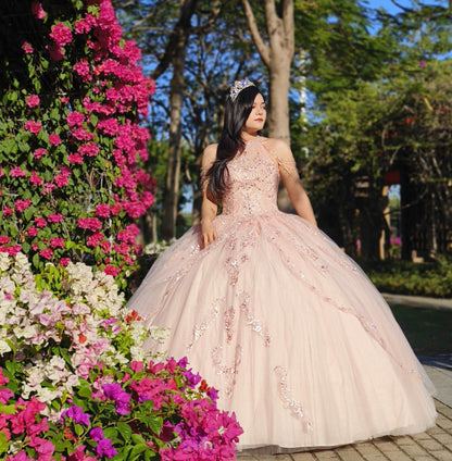 Live 29) Adult gowns, tailored fit, eternal charm.
