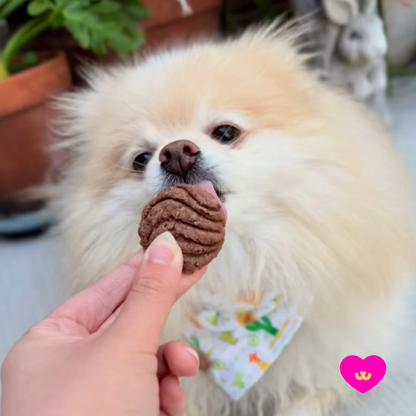 Conchitas Dog Treats