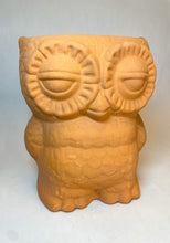 Load image into Gallery viewer, Terracotta Owl Planter Wall Planter Maceta de Búho De Pared
