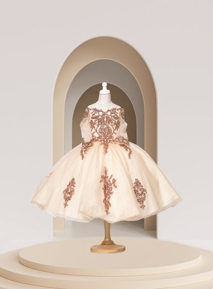 (K16) Beautiful Mini Quinceanera Matched with (Live 8)