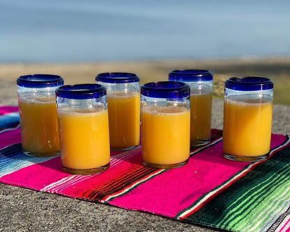 Cobalt Blue Rim Juice Glasses - Set of 6 (8 oz each)