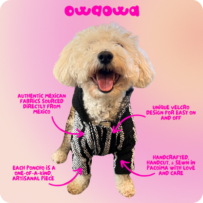 Delirio Dog Poncho Mexican Poncho