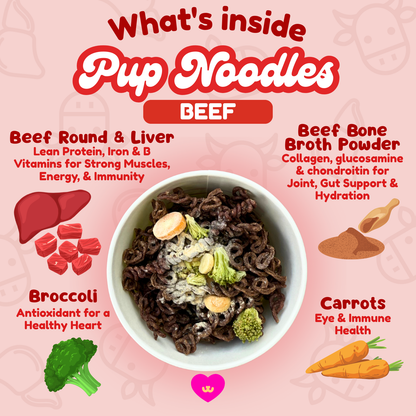 Pup Noodles™ – Beef Treats for Dogs And Cats