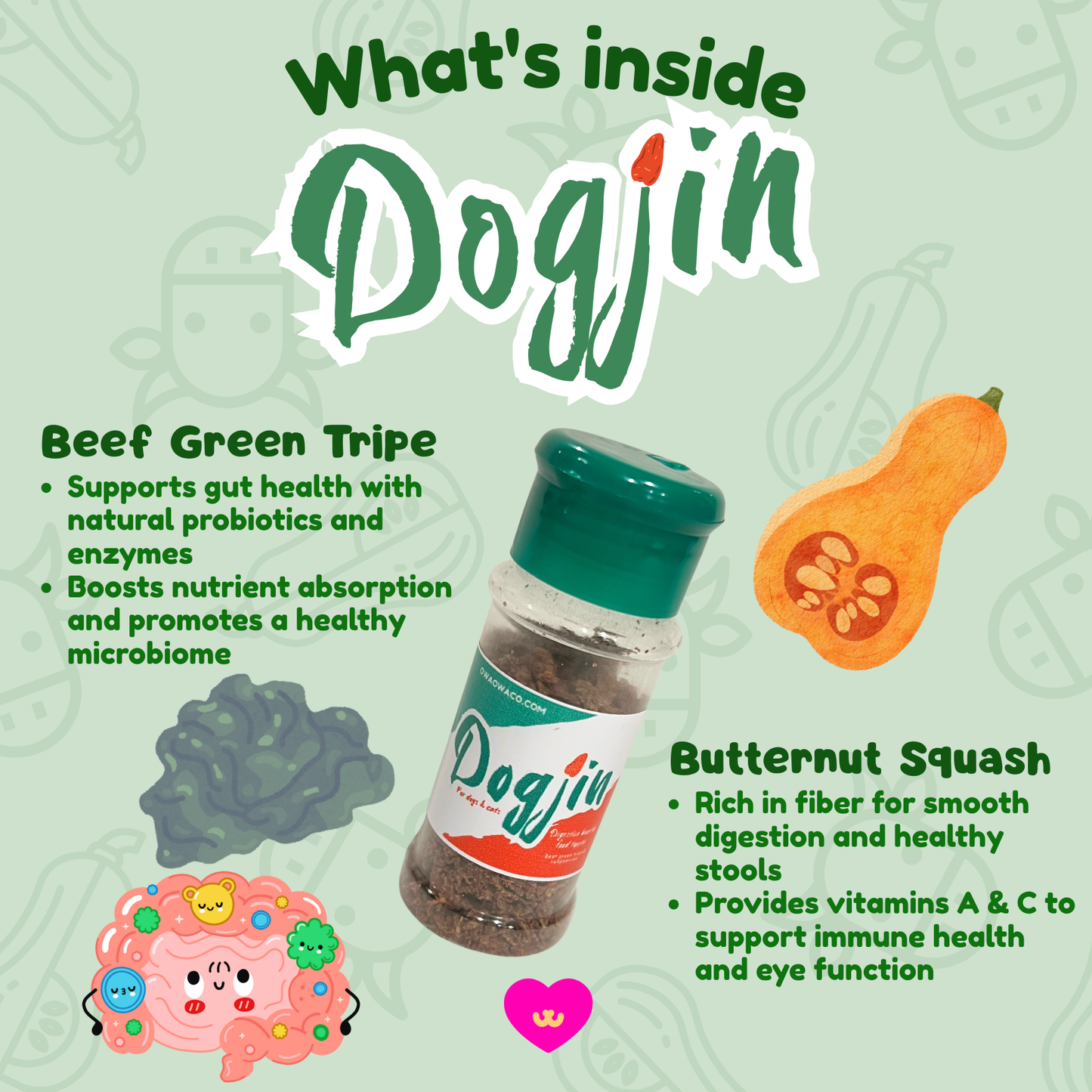 Dogjin Beef Green Tripe Butternut Squash Digestive Treat Inspired by Tajín