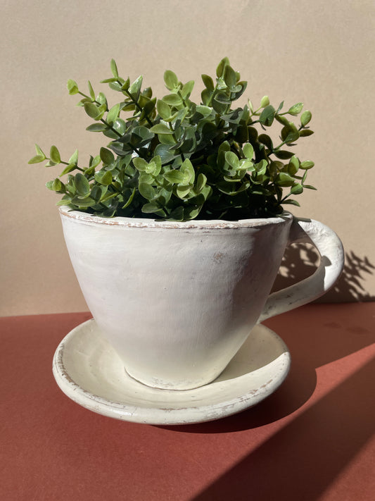 Terracota Saucer With Plant Pot Farmhouse Style Tea Cup Planter