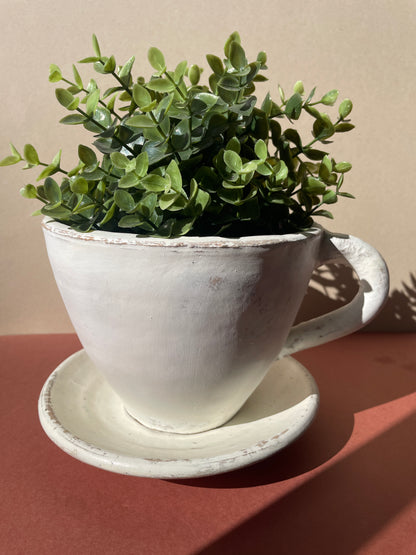 succulent pot with saucer Terracota Saucer With Plant Pot Farmhouse Style Tea Cup Planter